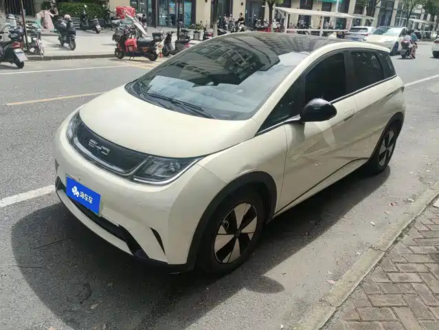 2023 BYD Dolphin