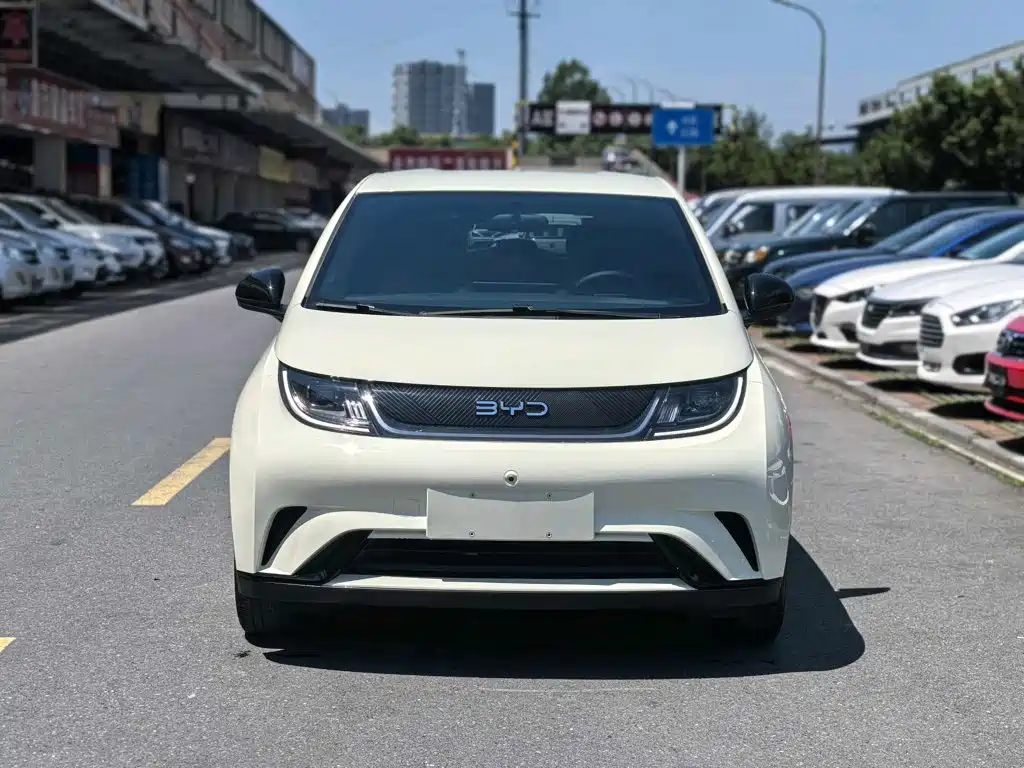 BYD Dolphin 2024 420km Freedom