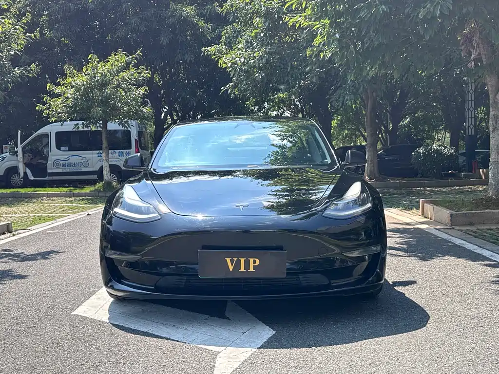 Tesla Model 3 — миниатюра 3