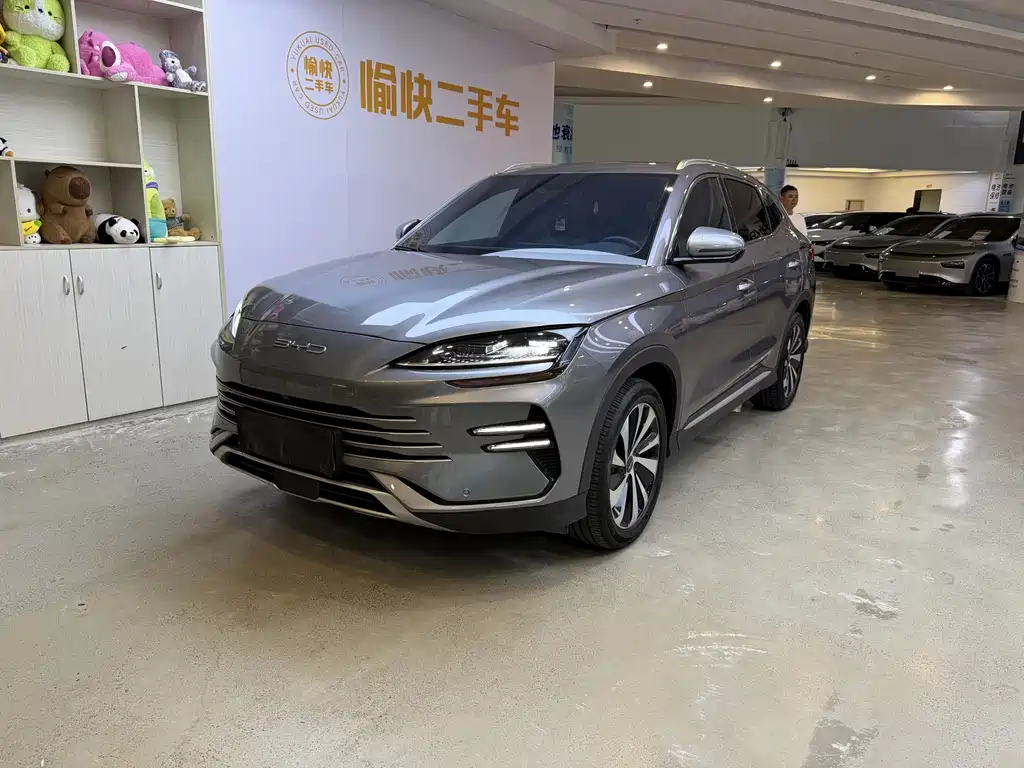 BYD PLUS New Energy