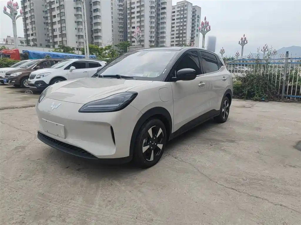 Wuling BinguoPLUS PLUS 2024 510km мест