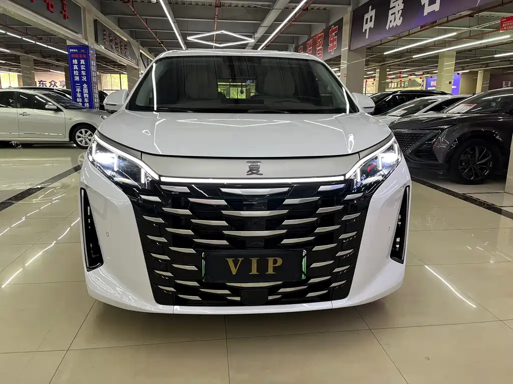 BYD Xia — миниатюра 2