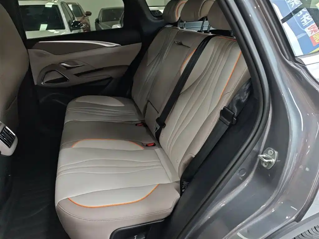 BYD Pro New Energy - фото 13
