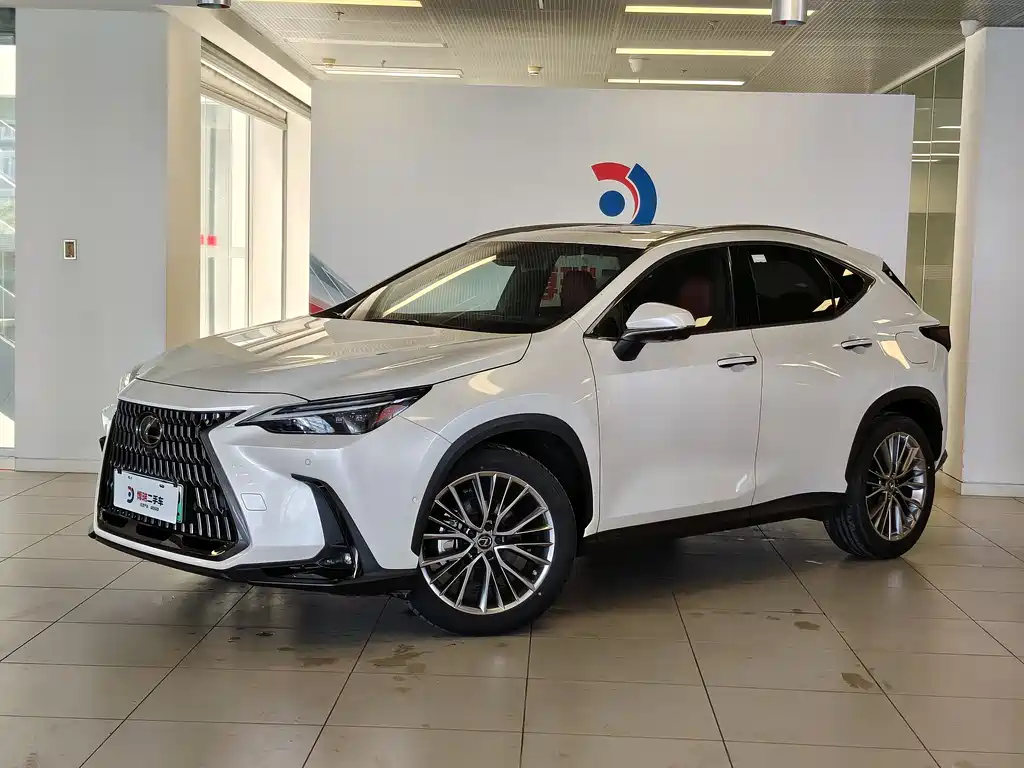 Lexus NX New Energy 2022