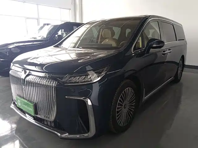 2024 Voyah Dream