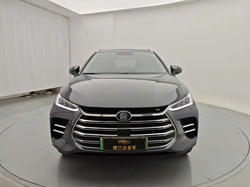 BYD Tang New Energy — миниатюра 2