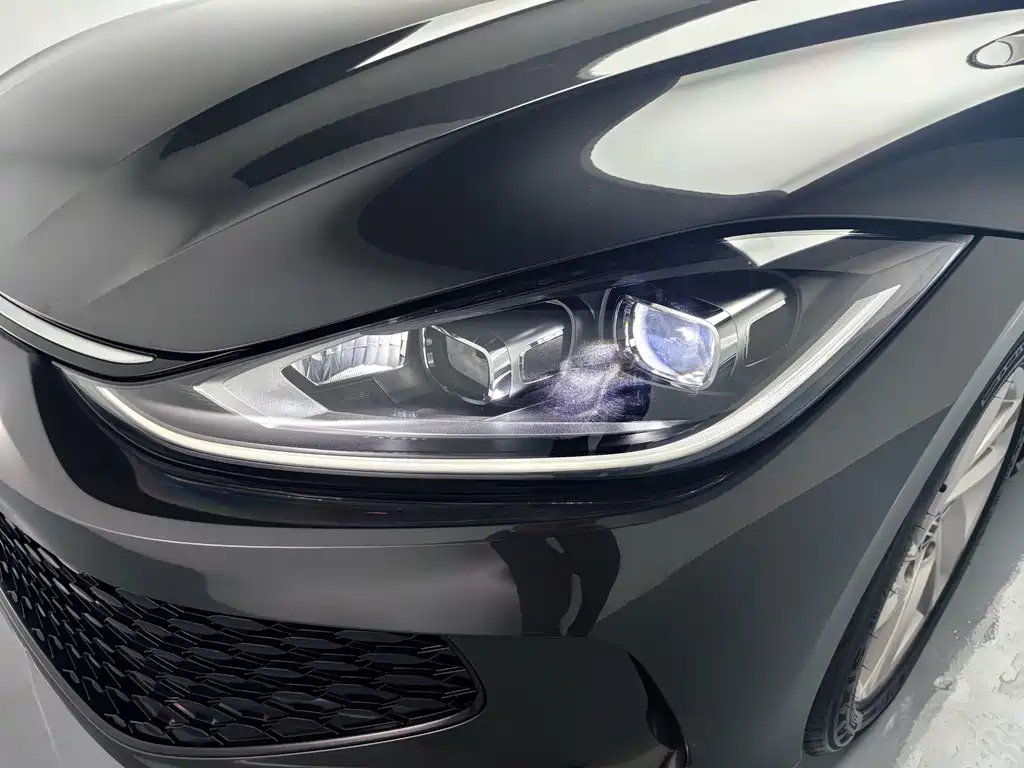 Volkswagen Lamando — миниатюра 8
