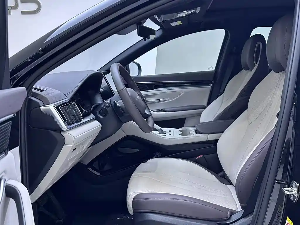 BYD PLUS New Energy — миниатюра 4