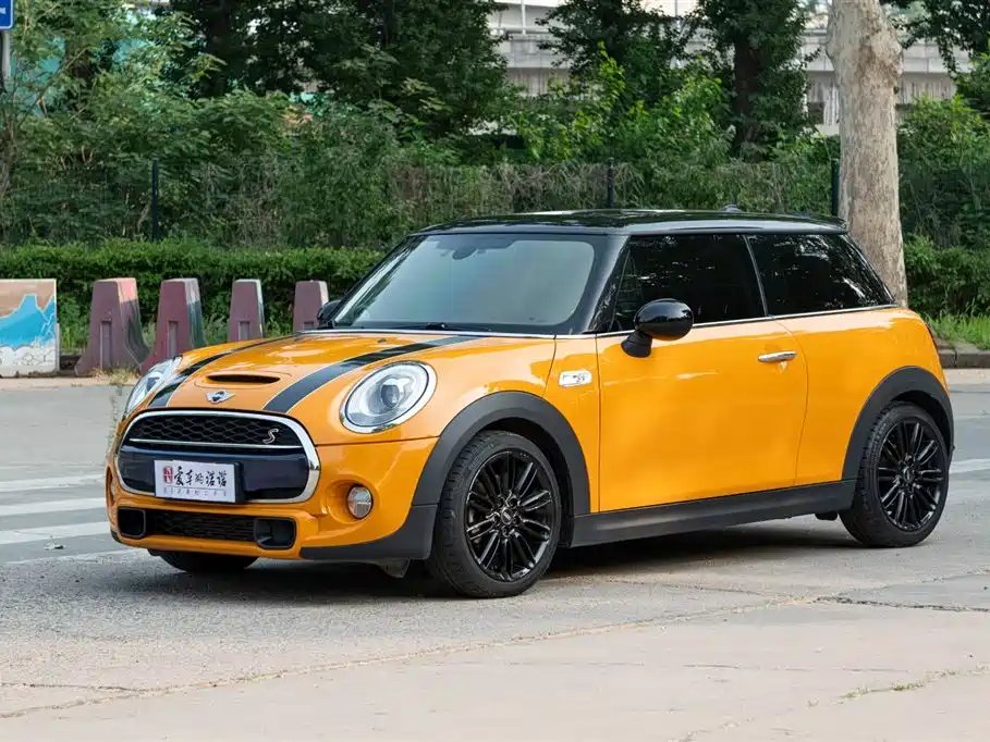 Mini Mini 2015