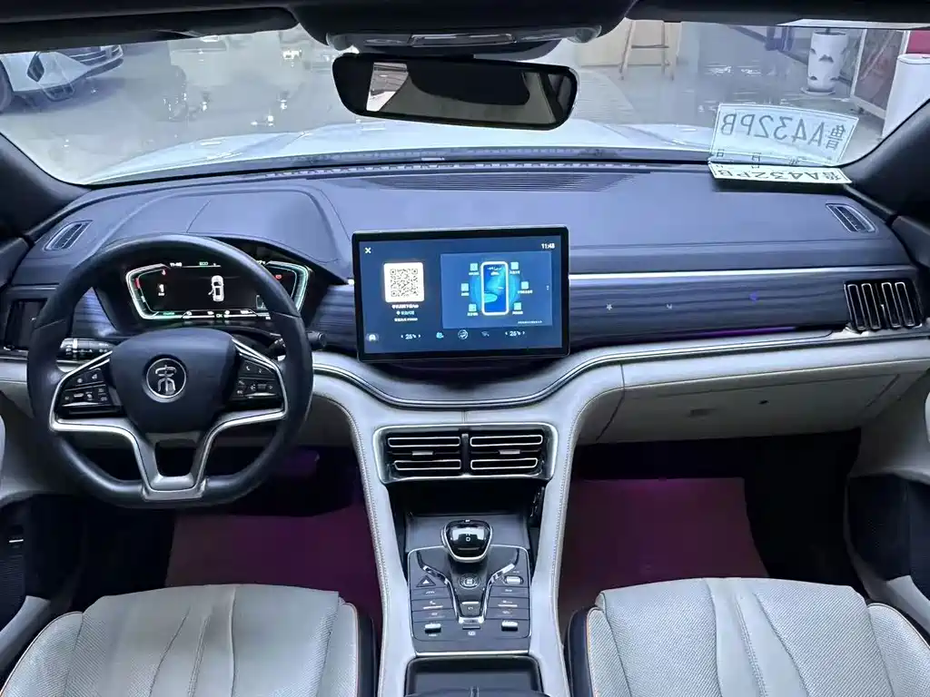BYD PLUS New Energy — миниатюра 8