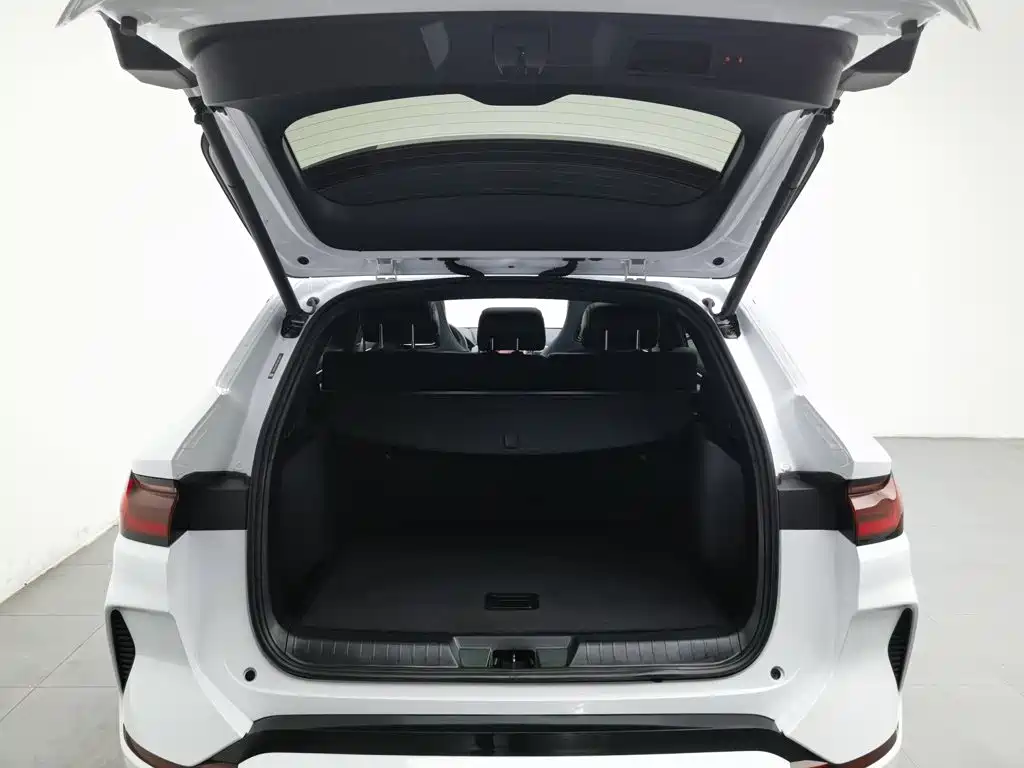 BYD PLUS New Energy — миниатюра 16