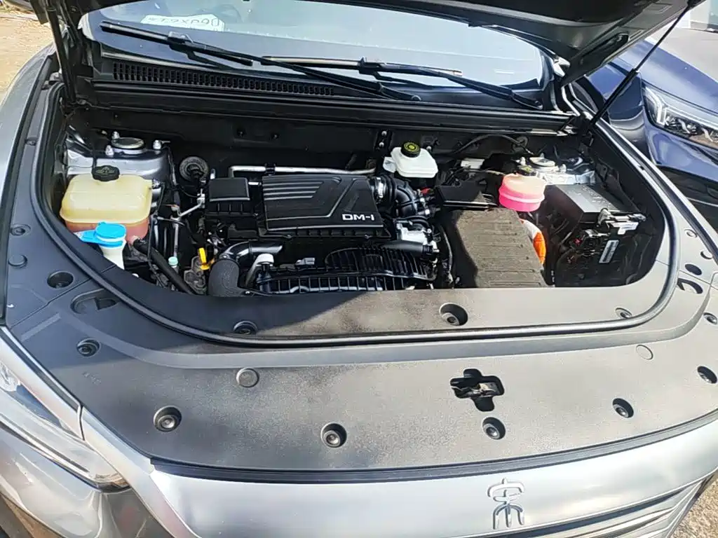 BYD Pro New Energy — миниатюра 20