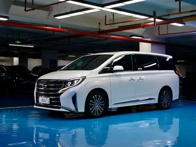 2021 GAC GN8