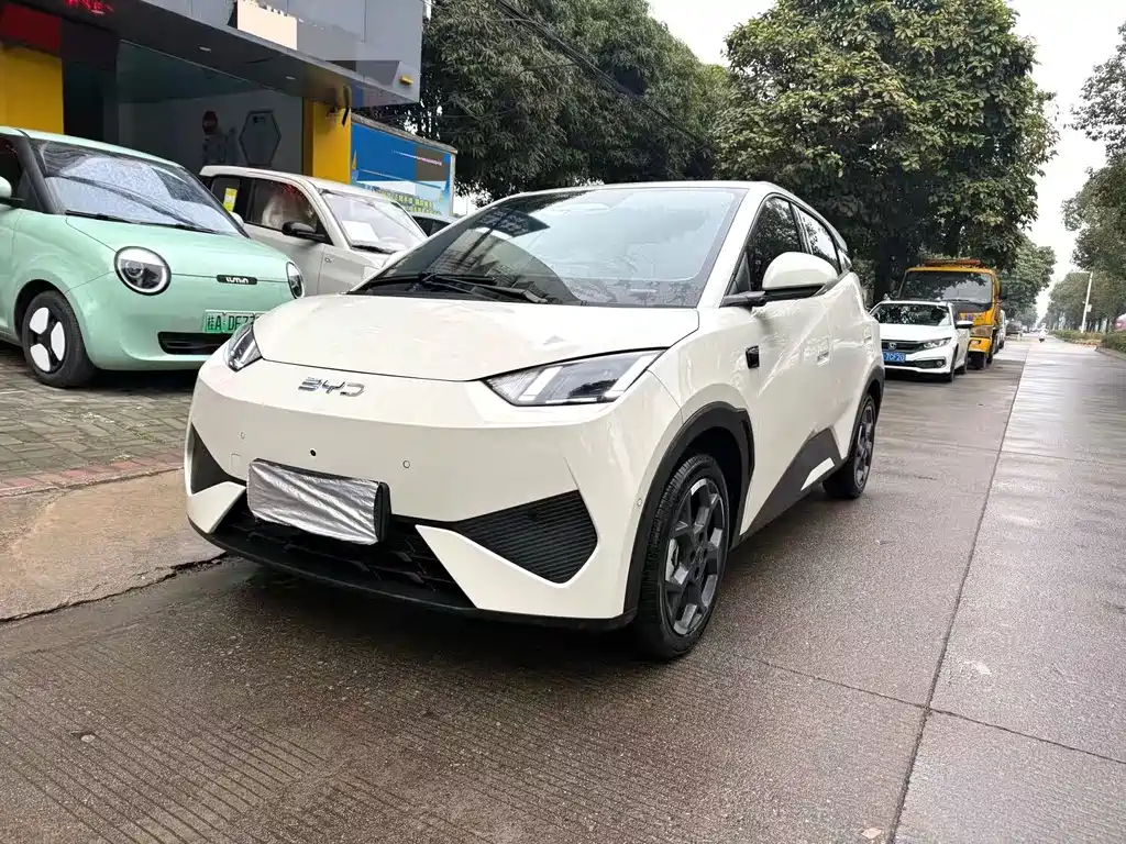 Byd Seagull 2025