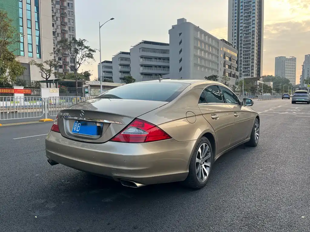 Mercedes-Benz CLS 2009 CLS 300