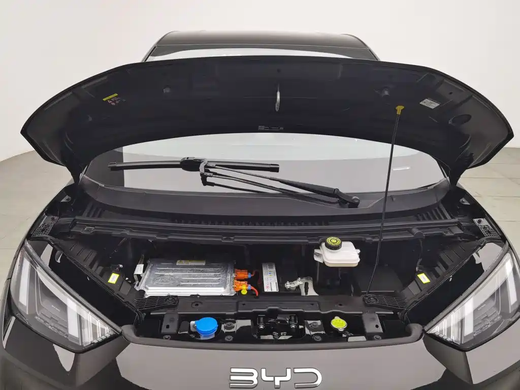 BYD Seagull 2024 305km Freedom