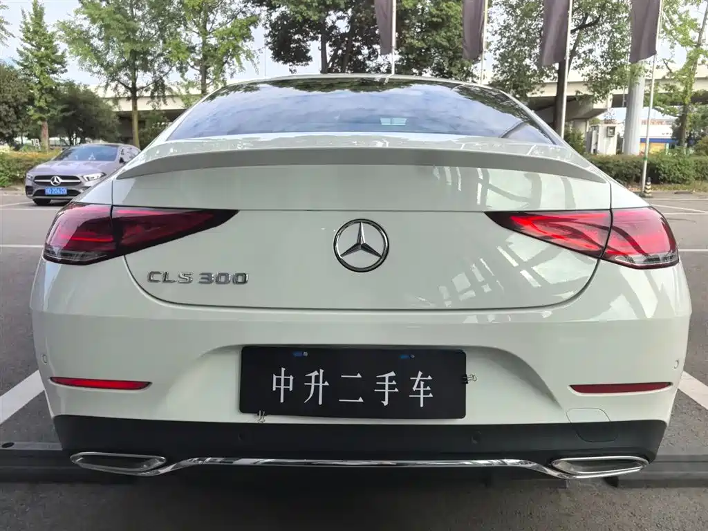 Mercedes-Benz CLS 2021 CLS 300 Luxury