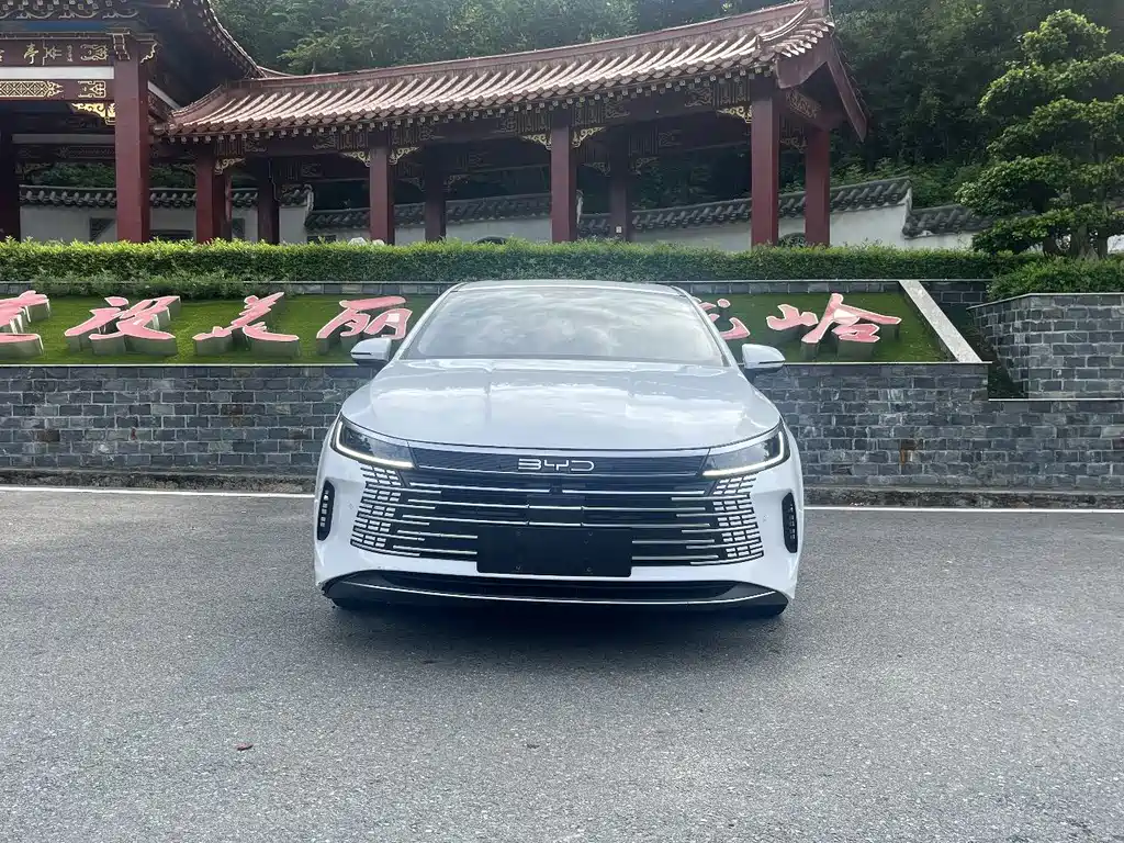 BYD Destroyer 05 — миниатюра 2