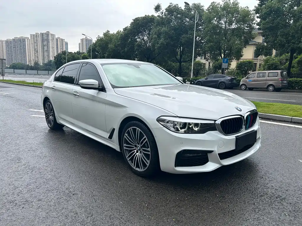 BMW 5 Series 5 2019 530Li xDrive M Sport