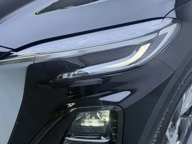 Hongqi Hongqi HS3 PHEV — миниатюра 21