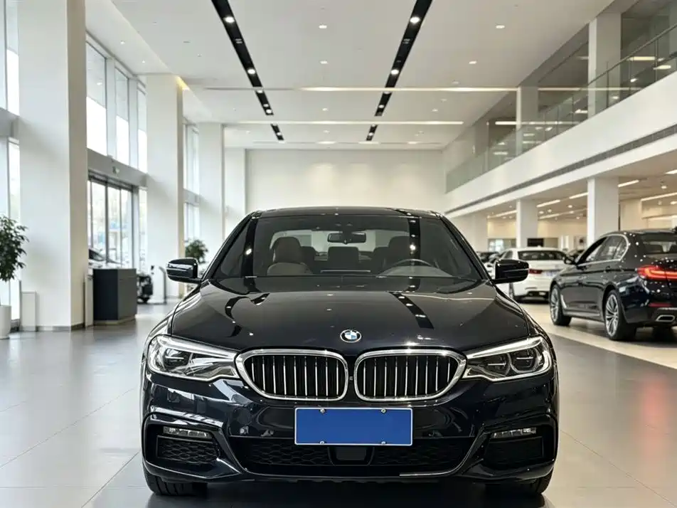 BMW 5 Series 5 2019 530Li Premium M Sport