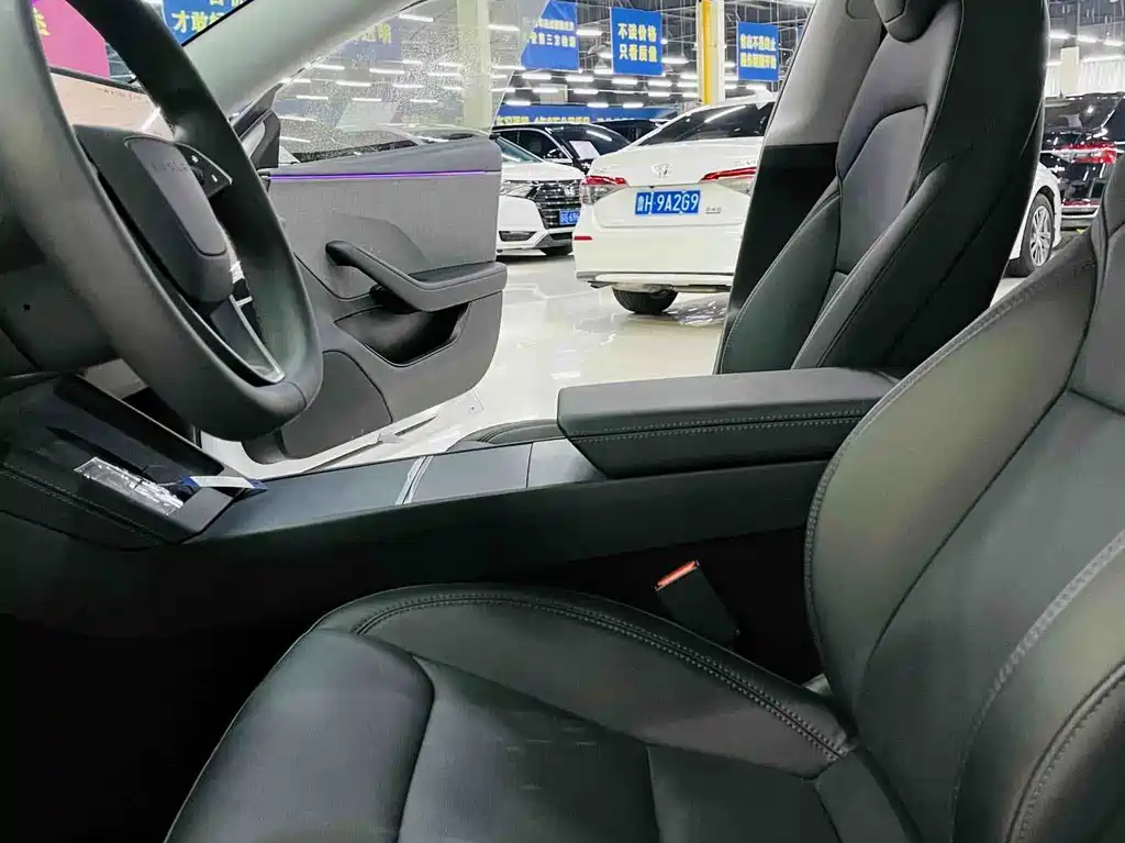 Tesla Model 3 — миниатюра 7