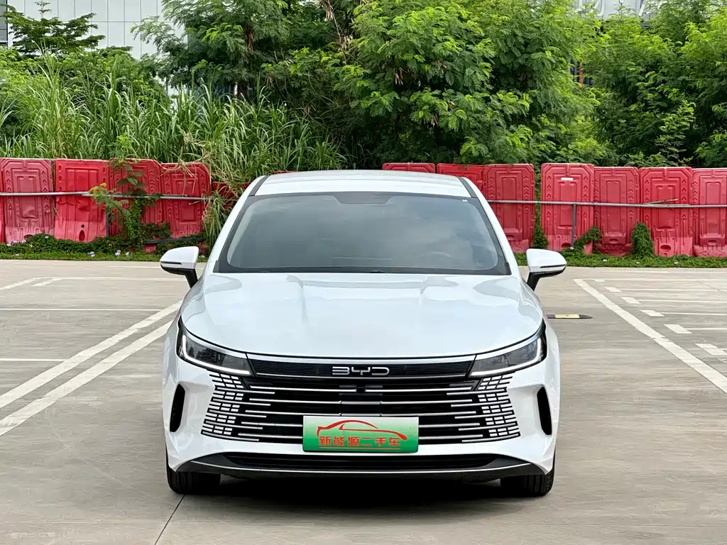 BYD Destroyer 05 2023 Champion DM-i 55KM Luxury