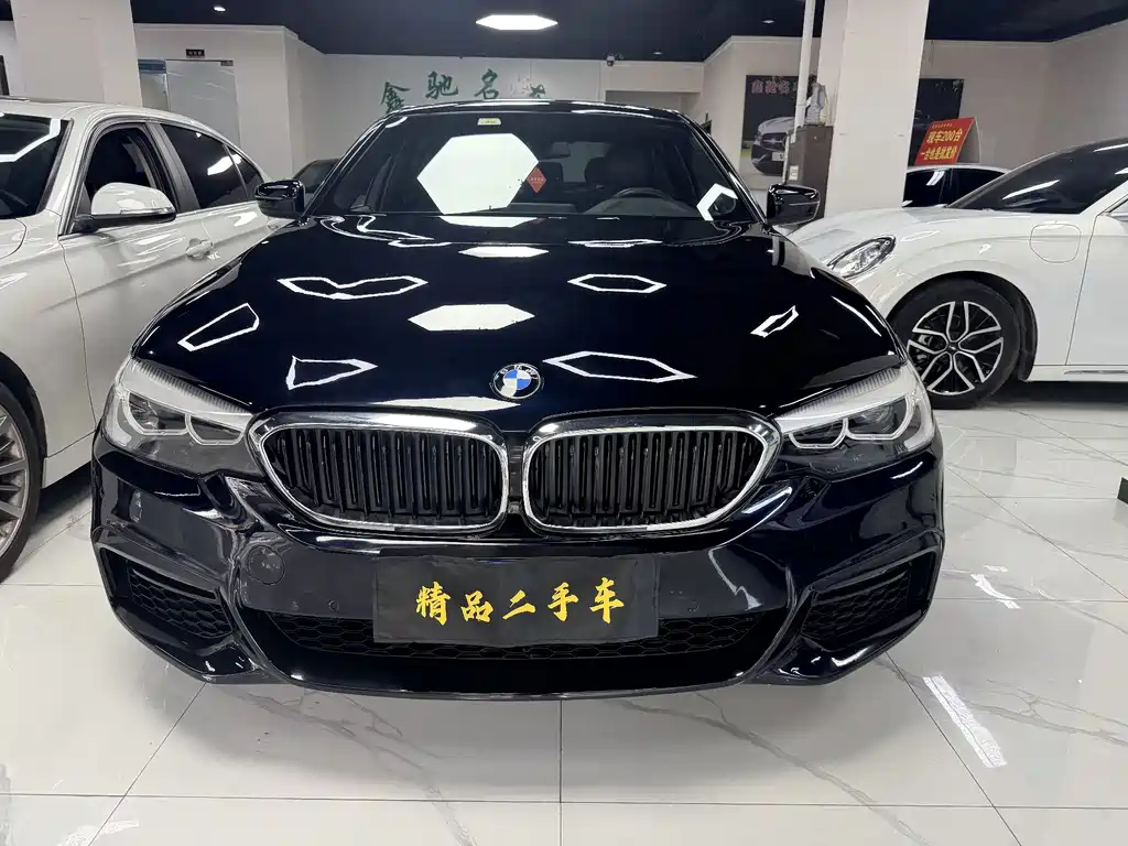 BMW 5 Series — миниатюра 2
