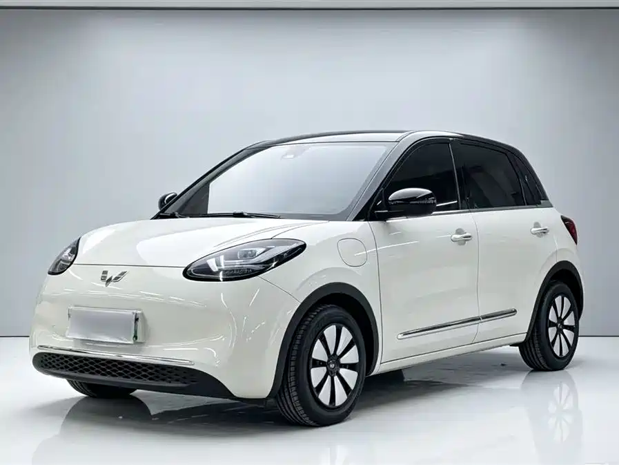 Wuling Bingo 2024