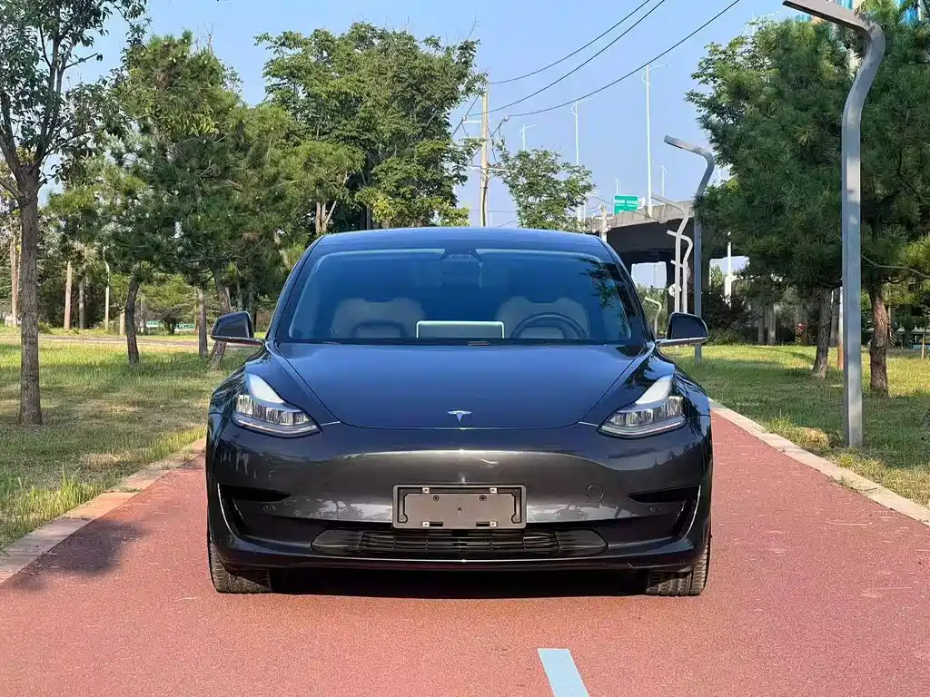 Tesla Model 3 — миниатюра 2