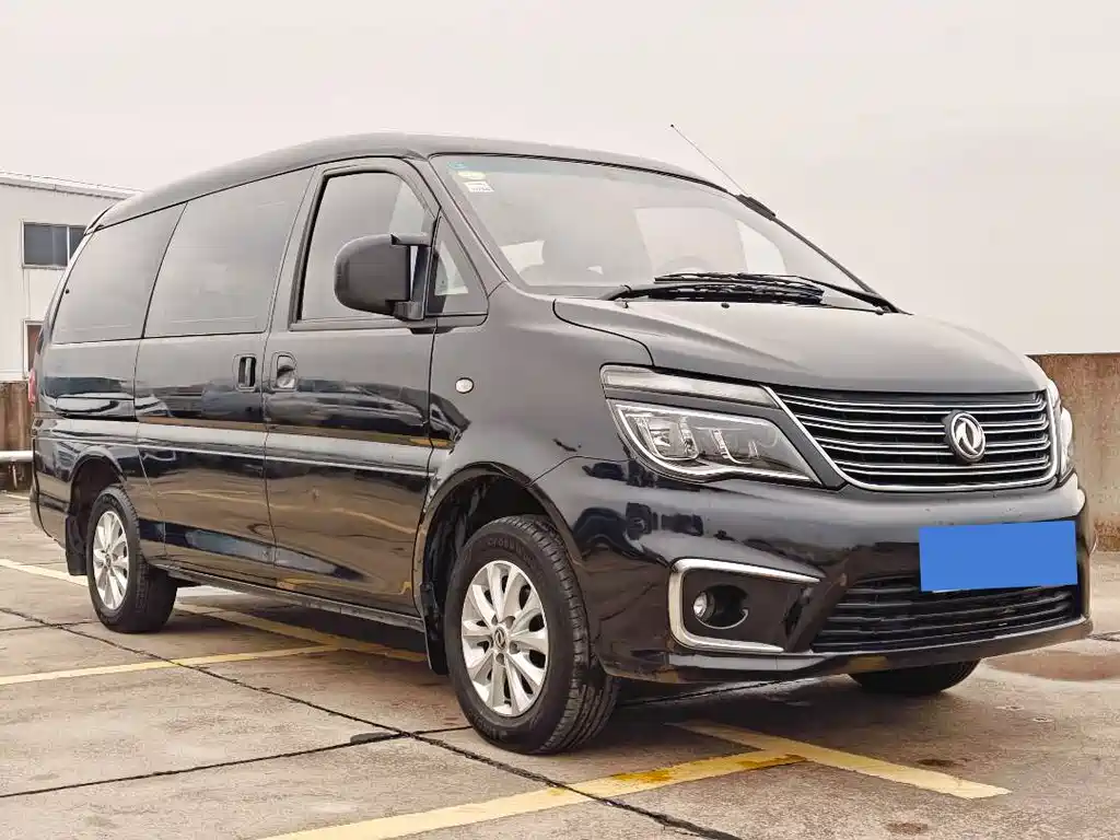 DONGFENG LINGZHI