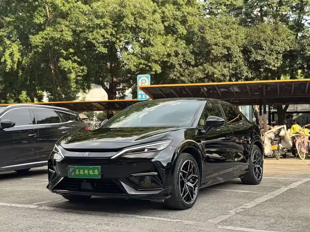 BYD L EV