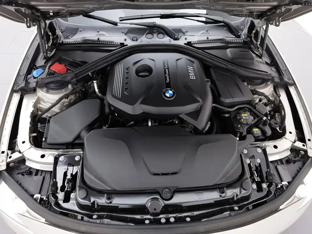 BMW 3 Series 3 2019 320Li Fashion