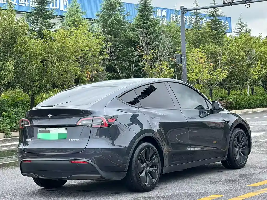 Tesla Model Y — миниатюра 9