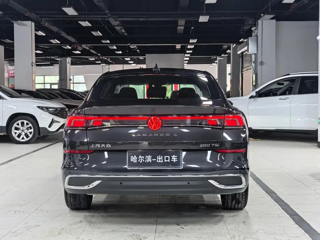 Volkswagen Lamando — миниатюра 25