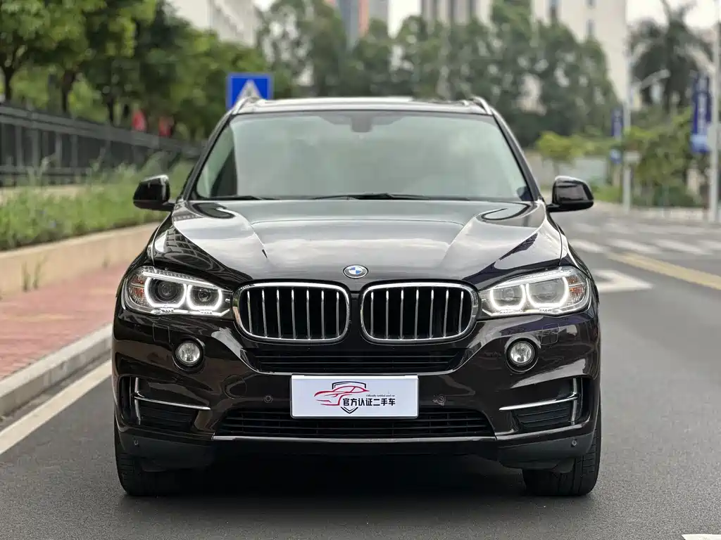 BMW X5 (Import) — миниатюра 2