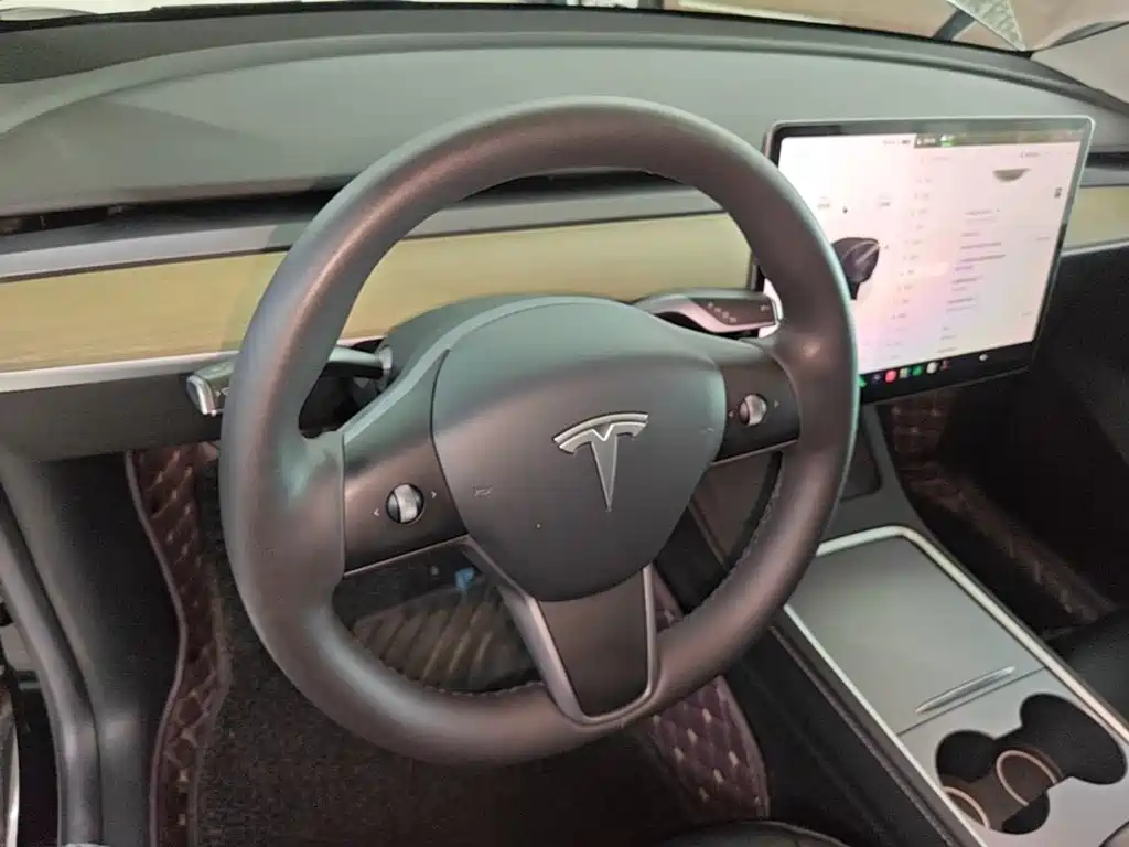 Tesla Model Y — миниатюра 10
