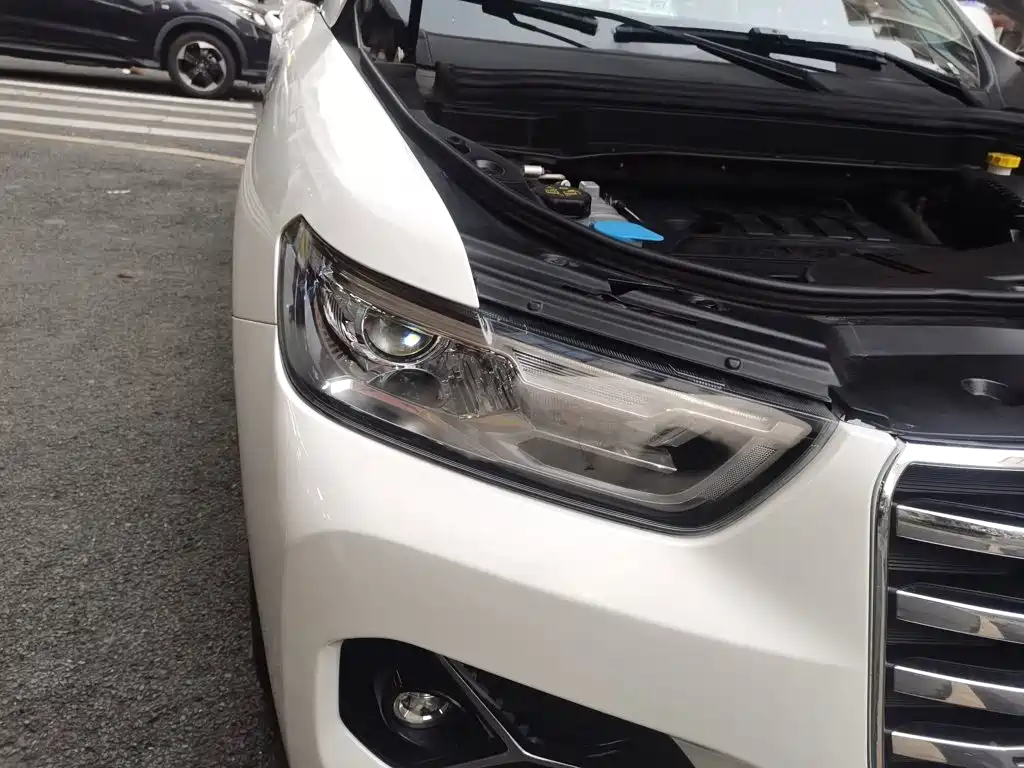 Haval H6 — миниатюра 7