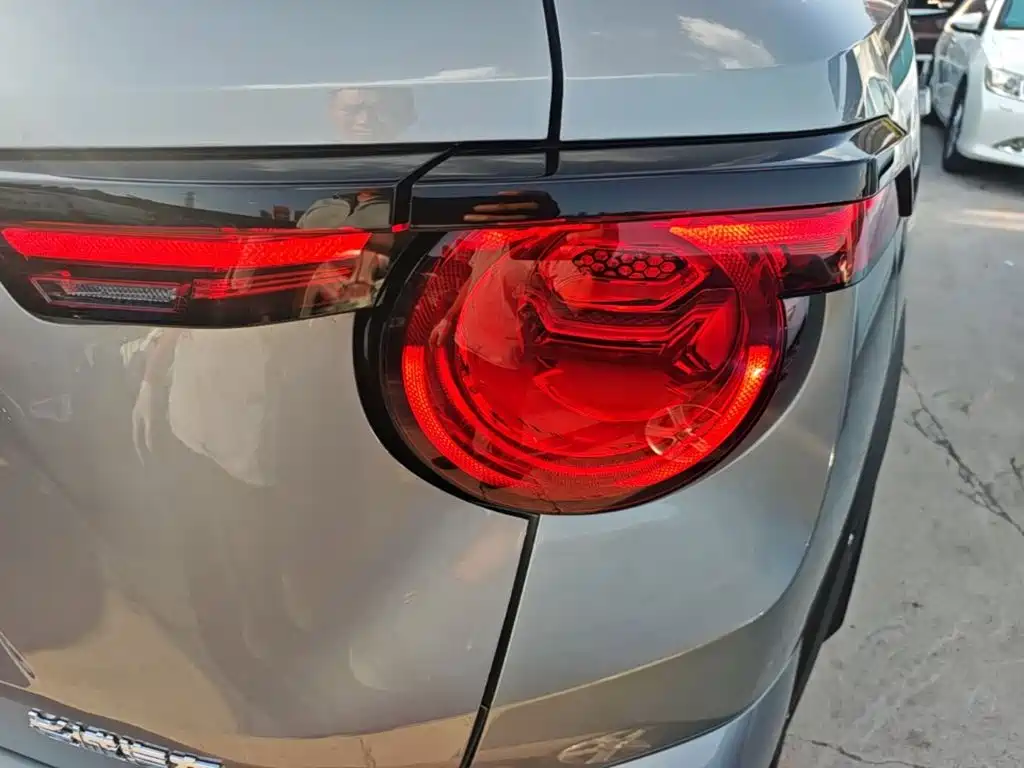Haval Big Dog PLUS — миниатюра 8