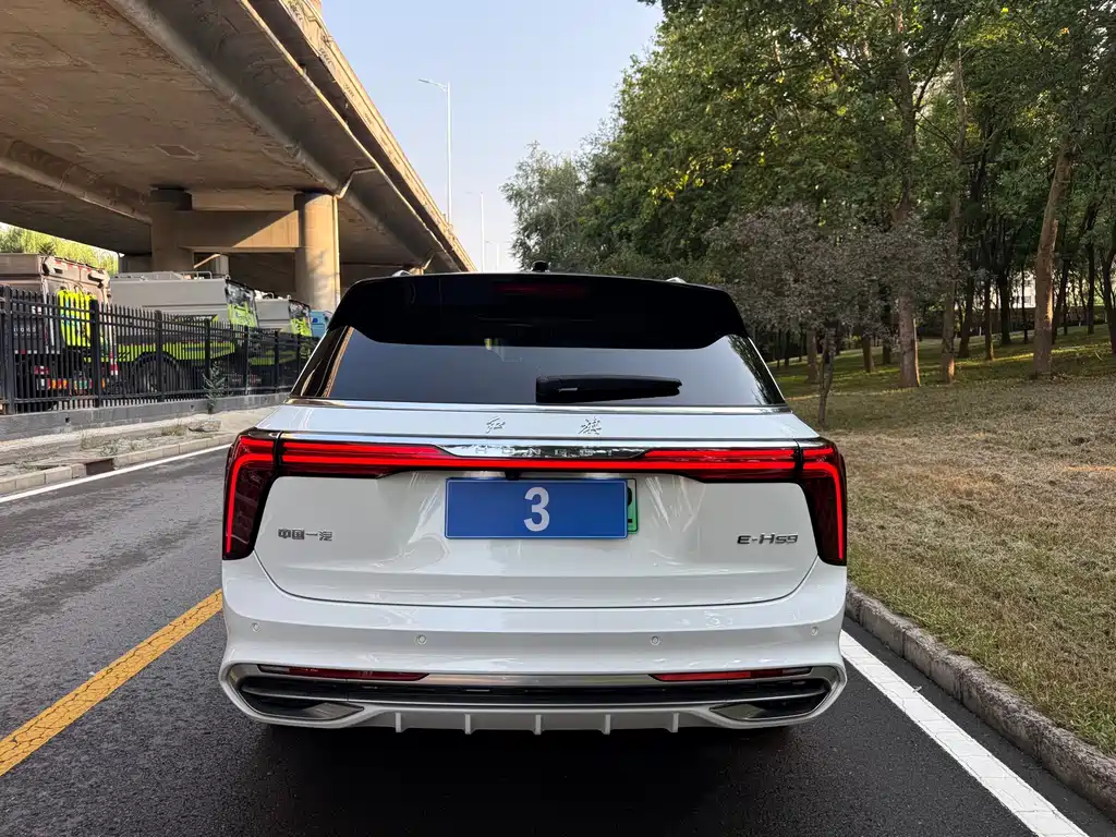 Hongqi Hongqi E-HS9 — миниатюра 10