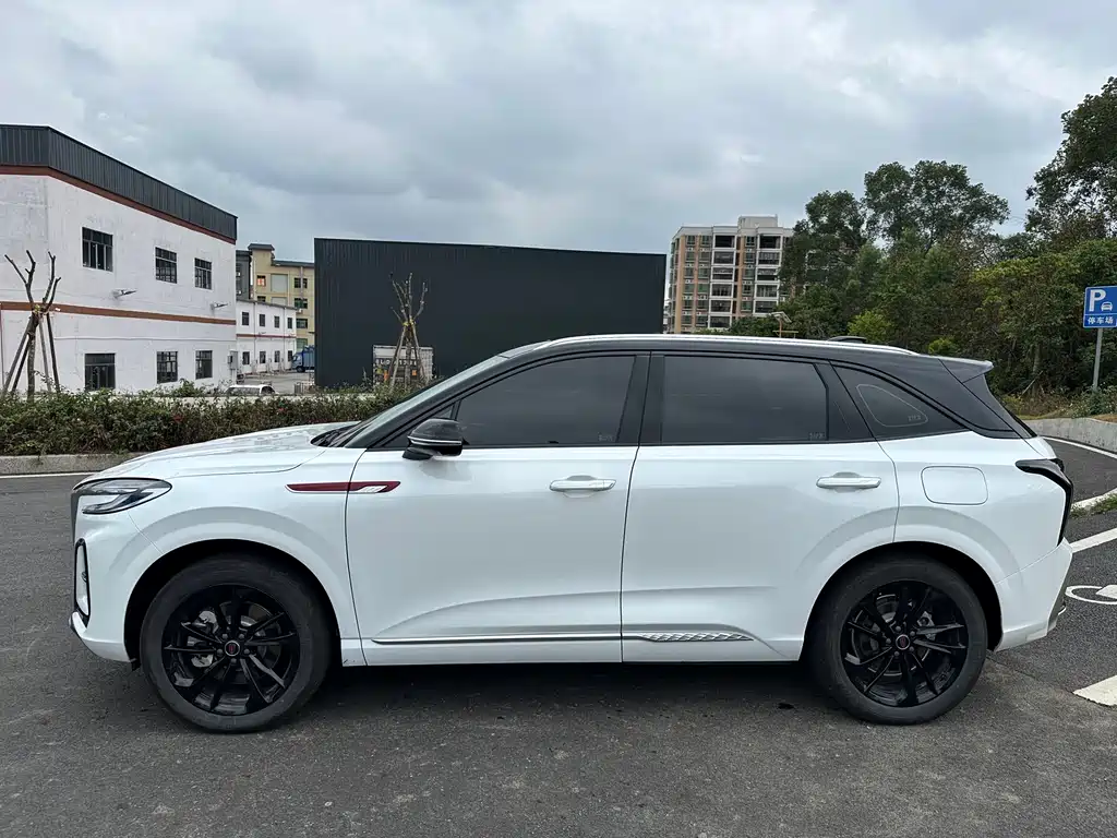 Hongqi HS3 PHEV 2025 117km