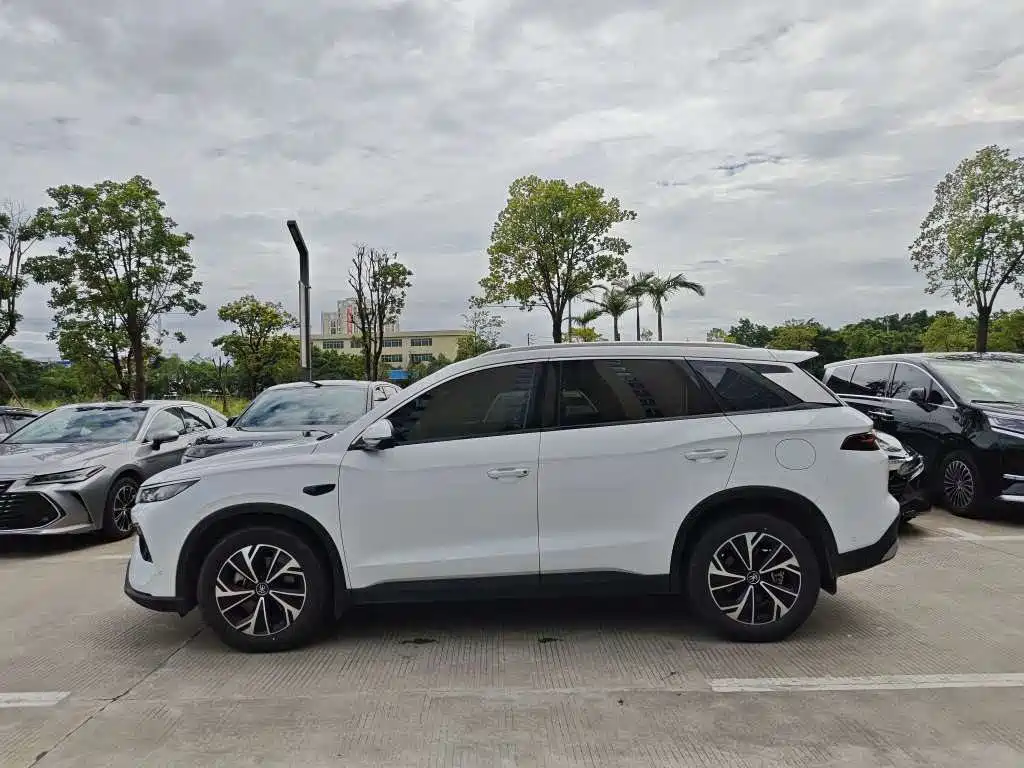 BYD Pro New Energy — миниатюра 3