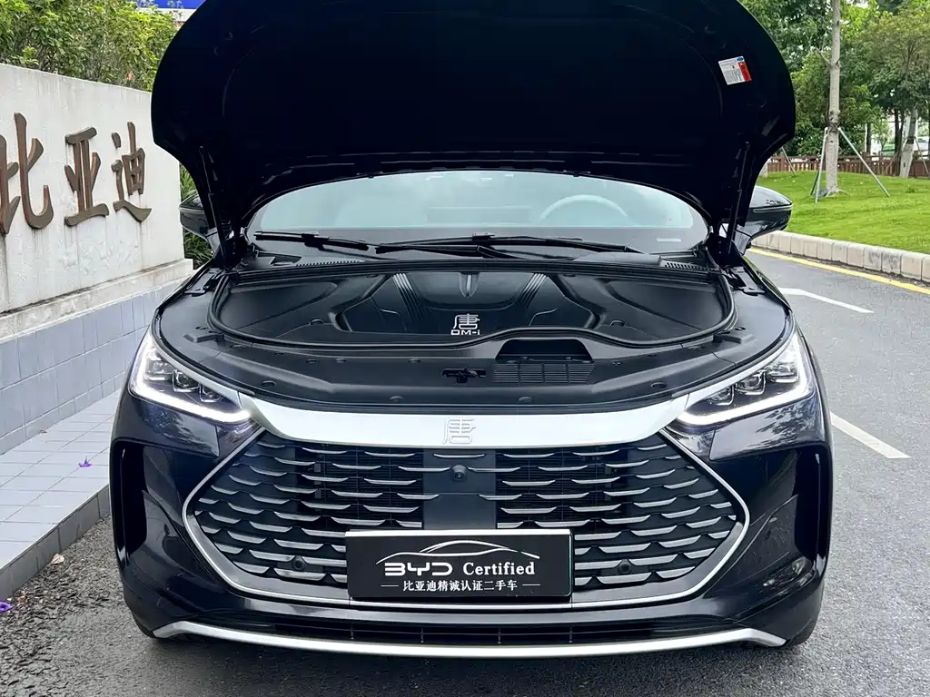 BYD Tang New Energy — миниатюра 3
