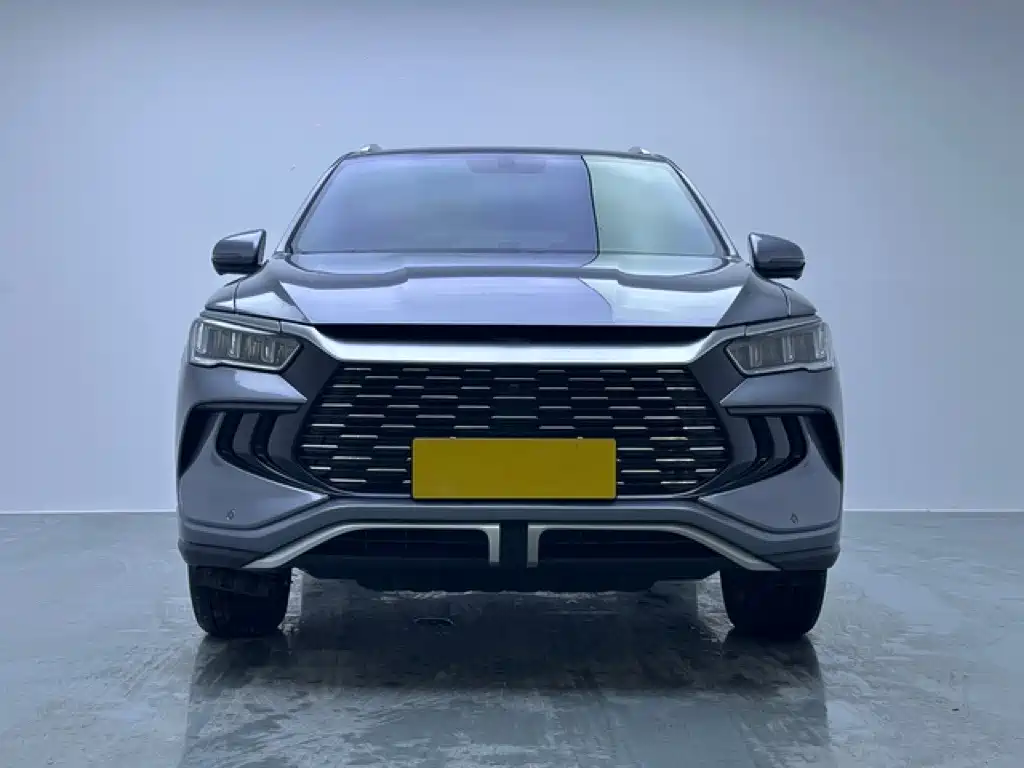 BYD Pro New Energy — миниатюра 2