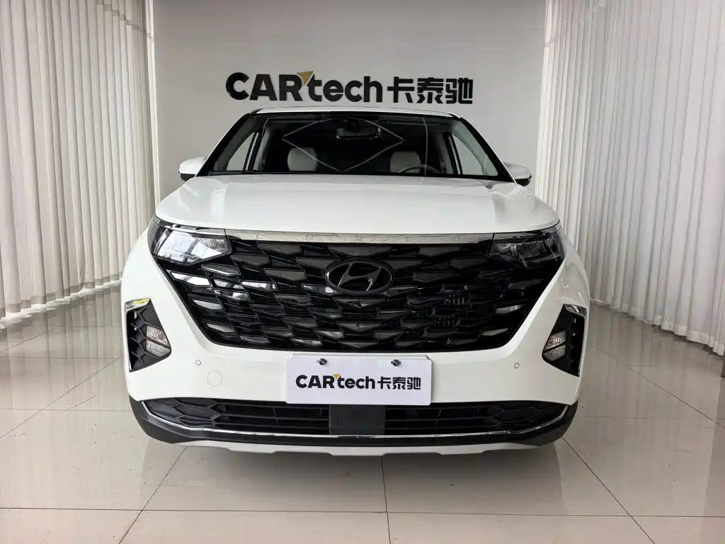 Hyundai Custo — миниатюра 2