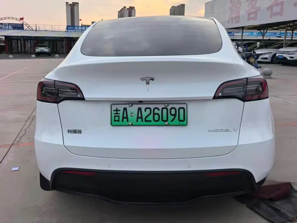 Tesla Model Y — миниатюра 9