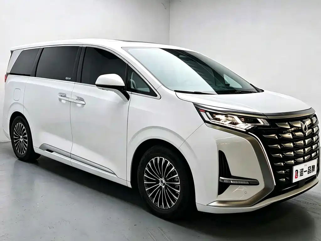 Denza Denza D9 — миниатюра 3