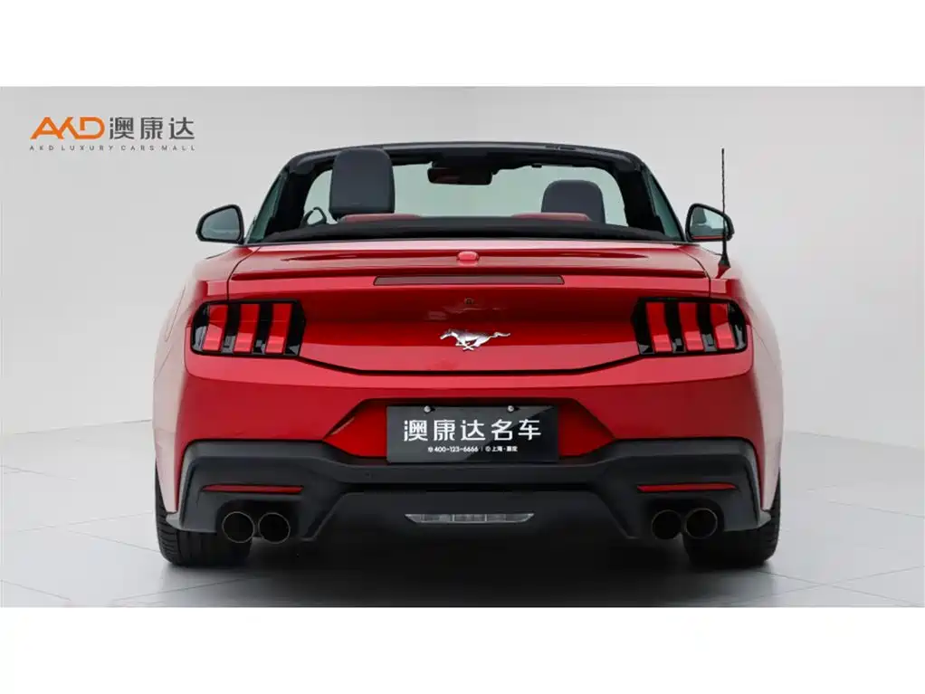 Ford Mustang — миниатюра 4