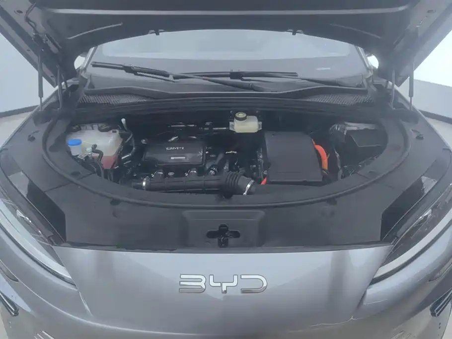 BYD SONGJIANG NEW ENERGY