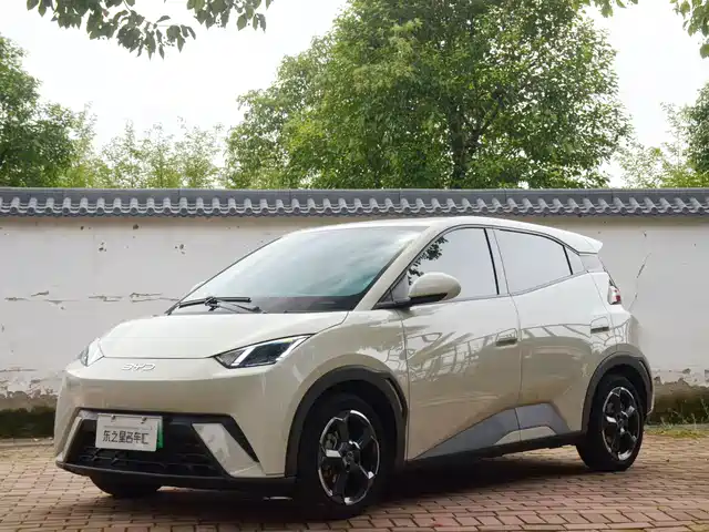 2024 BYD Seagull